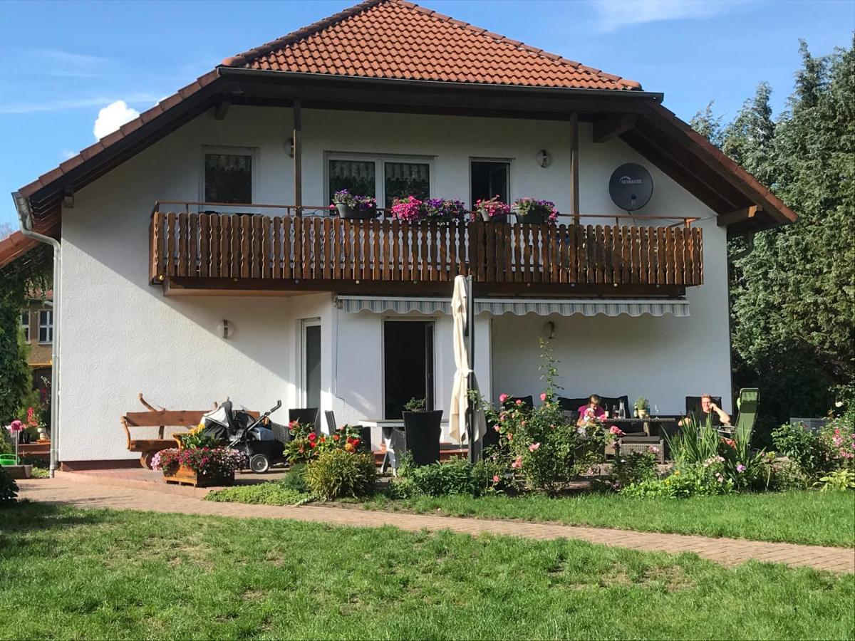 Grosszuegige Ferienwohnung Am Waldesrand Im Seenland Lauta Kültér fotó