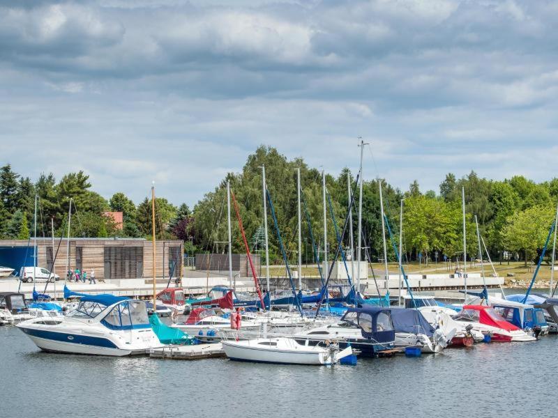 Grosszuegige Ferienwohnung Am Waldesrand Im Seenland Lauta Kültér fotó