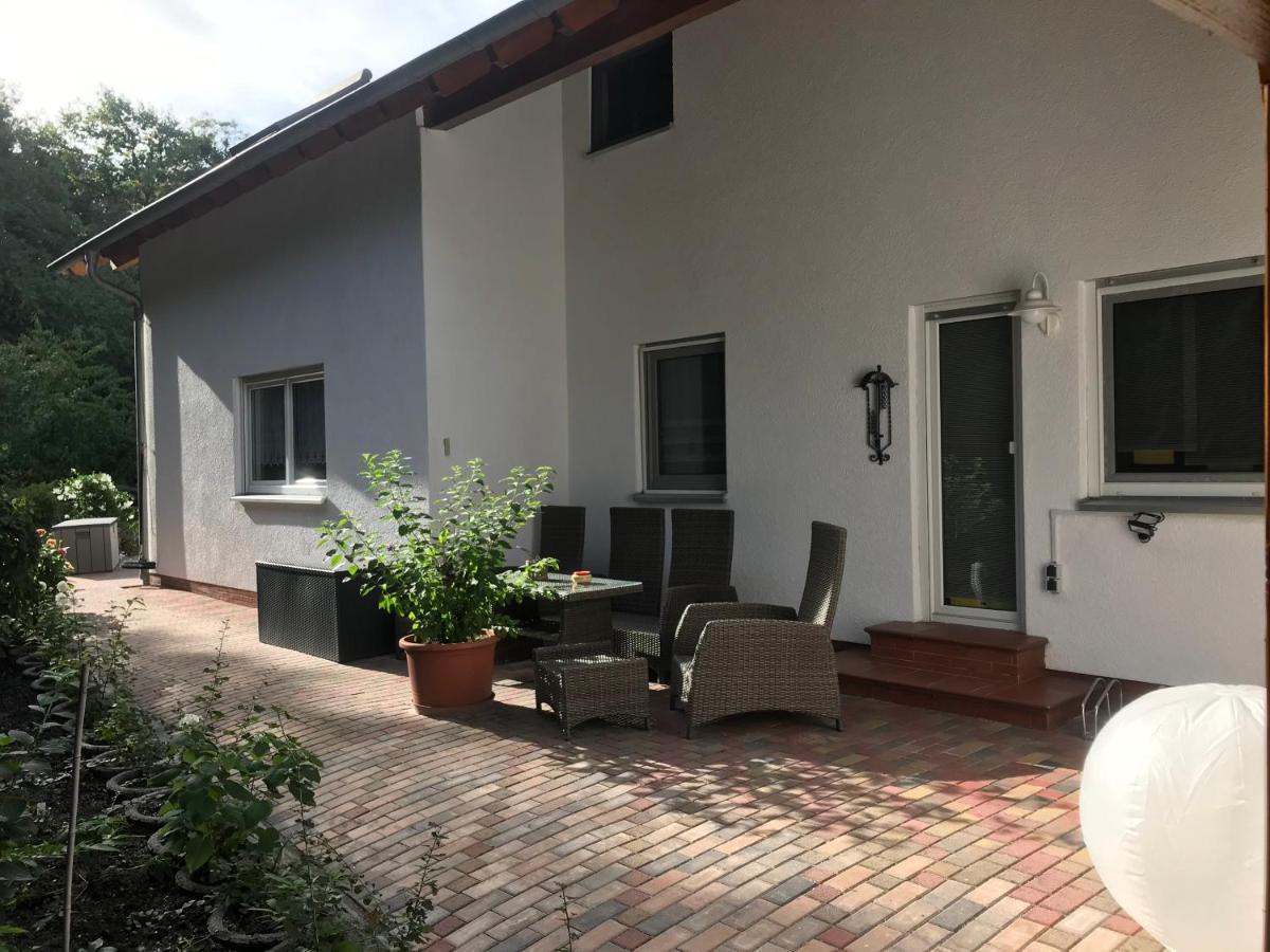 Grosszuegige Ferienwohnung Am Waldesrand Im Seenland Lauta Kültér fotó
