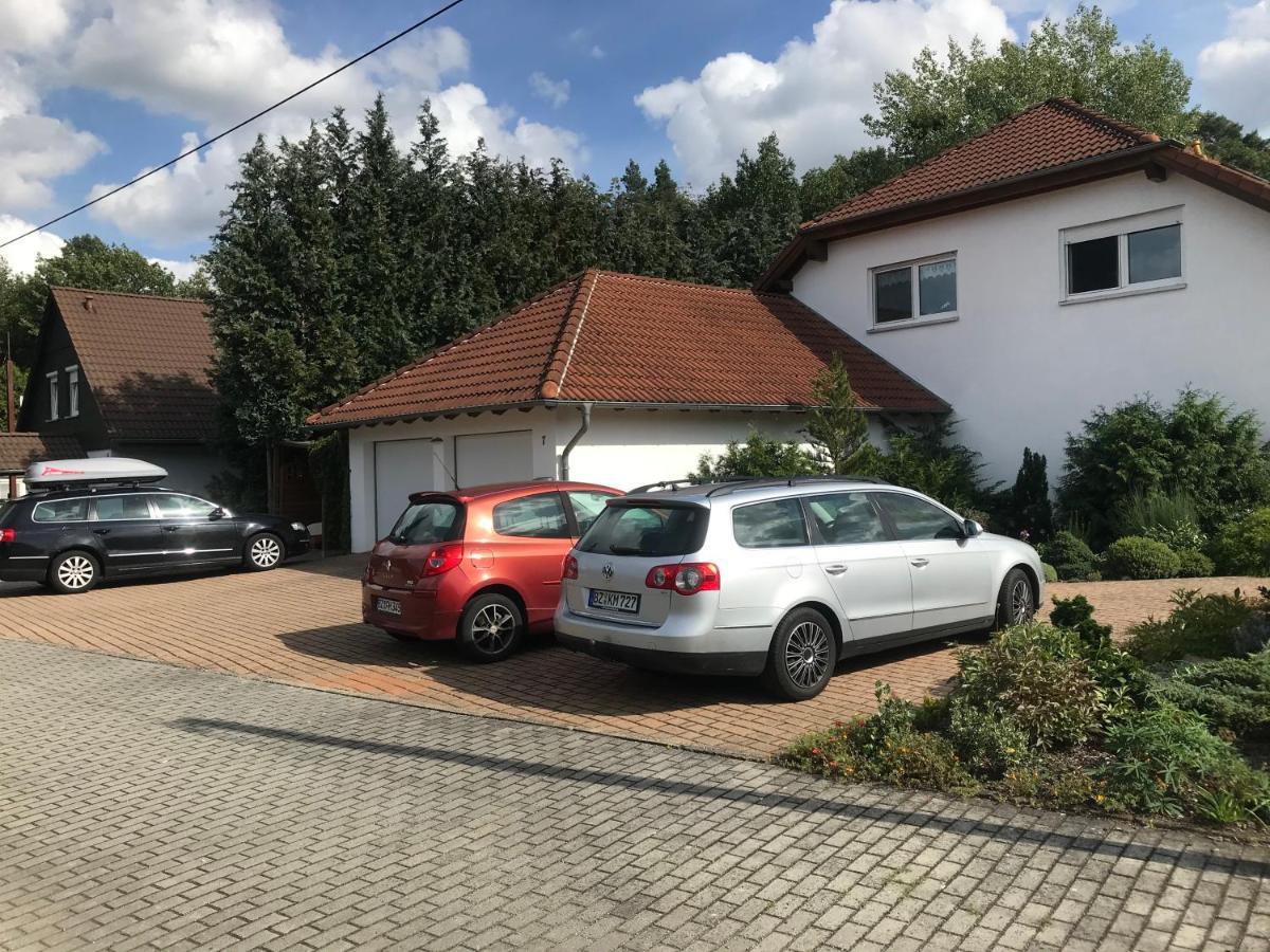 Grosszuegige Ferienwohnung Am Waldesrand Im Seenland Lauta Kültér fotó