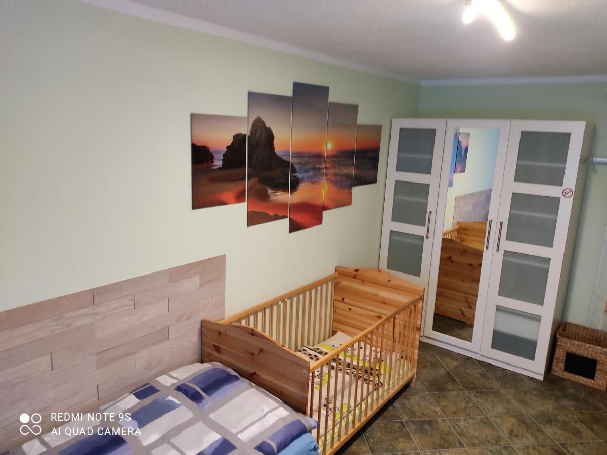 Grosszuegige Ferienwohnung Am Waldesrand Im Seenland Lauta Kültér fotó